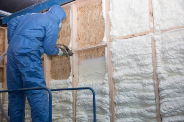 Types of Insulation We Offer in White Mountain Lake, AZ